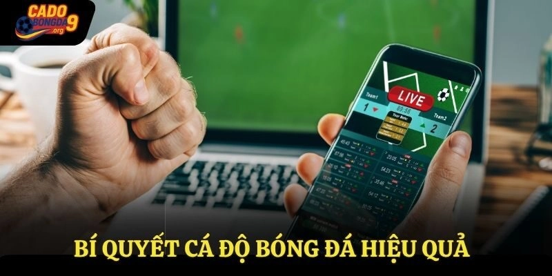 Bí quyết Cá Độ Bóng Đá hiệu quả cược thủ cần tìm hiểu