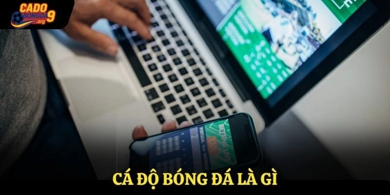 Cá độ bóng đá là gì?