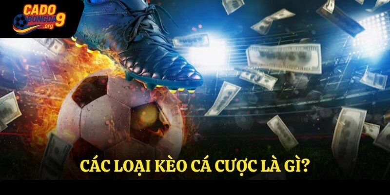 Các loại kèo cá cược là gì?