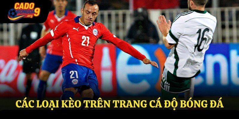Các loại kèo trên trang cá độ bóng đá