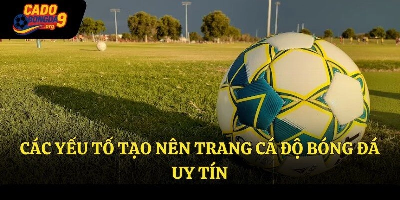 Các yếu tố tạo nên trang cá độ bóng đá uy tín