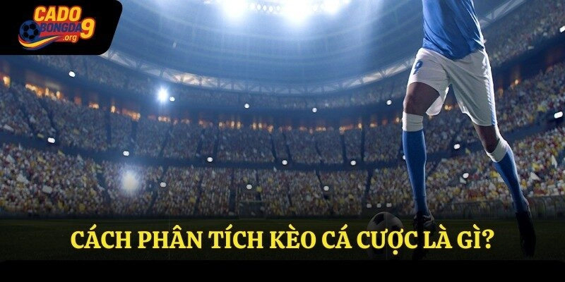 Cách phân tích dựa vào kèo cá cược là gì?