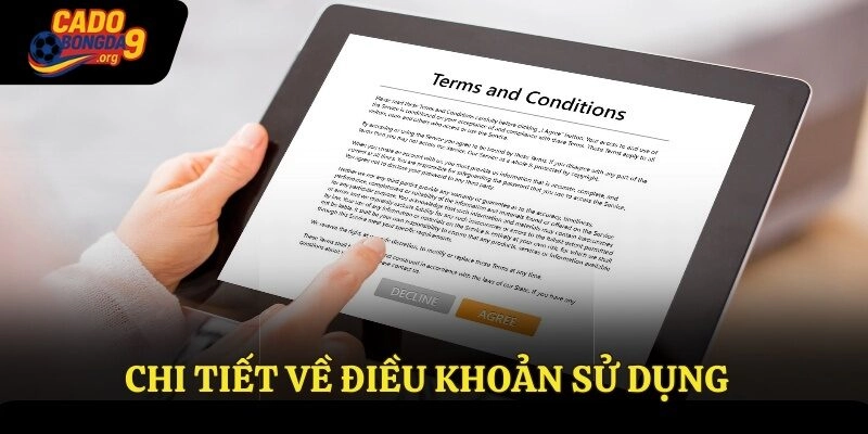 Chi tiết về điều khoản sử dụng