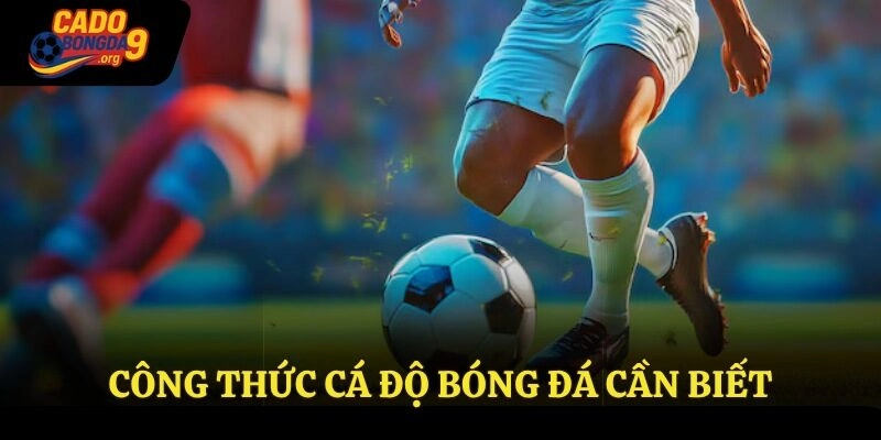 Công thức cá độ bóng đá cần biết