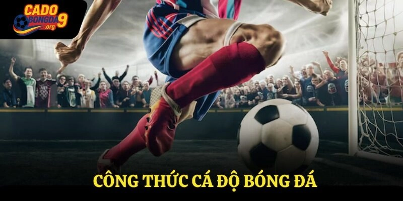Công Thức Cá Độ Bóng Đá – Kiến Thức Quan Trọng Cần Biết