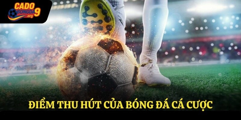 Điểm thu hút của bóng đá cá cược