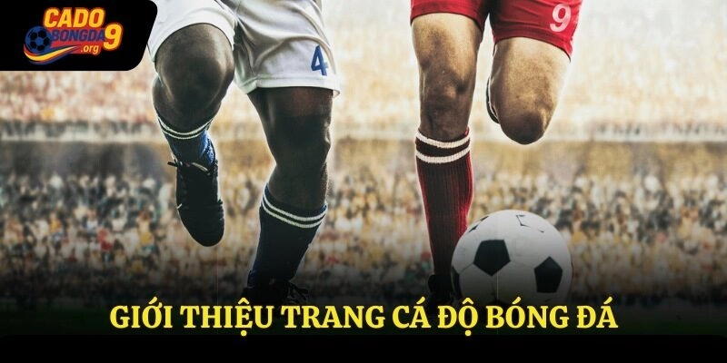 Giới thiệu trang cá độ bóng đá