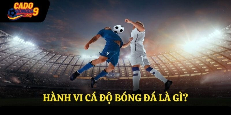 Hành vi cá độ bóng đá là gì