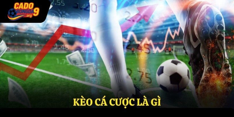 Kèo Cá Cược Là Gì? Giới Thiệu Kèo Uy Tín Nhất Năm 2025