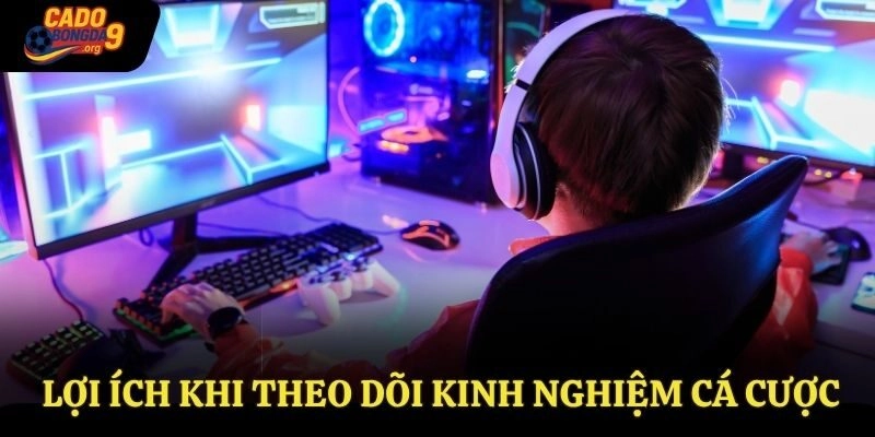 Lợi ích khi theo dõi kinh nghiệm cá cược