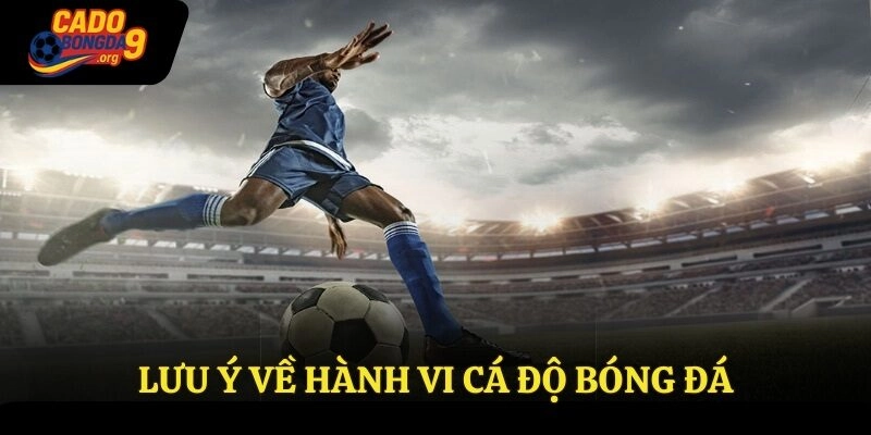 Lưu ý về hành vi cá độ bóng đá