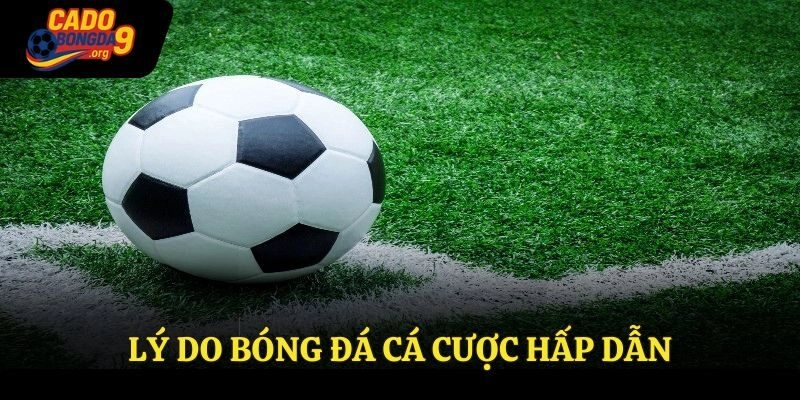 Lý do bóng đá cá cược hấp dẫn