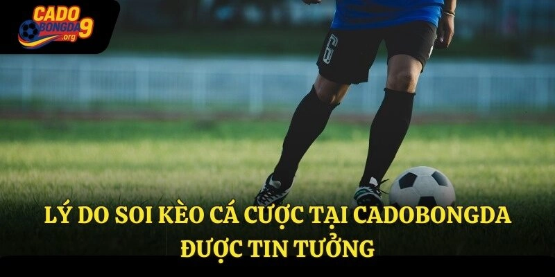 Lý do soi kèo cá cược tại cadobongda được tin tưởng