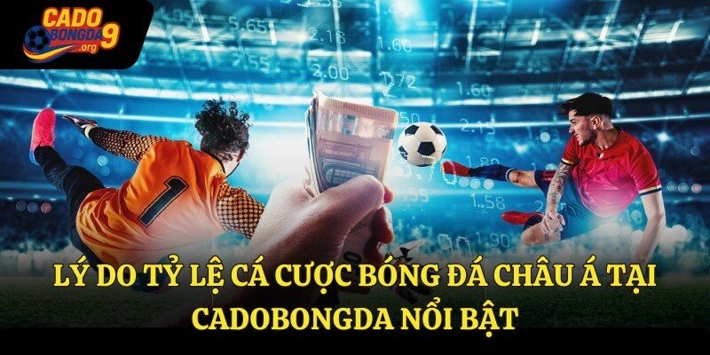 Lý do tỷ lệ cá cược bóng đá Châu Á tại cadobongda nổi bật