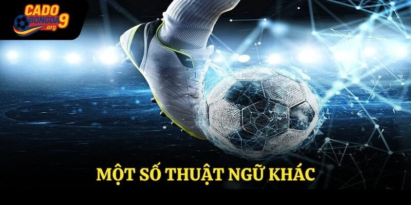 Một số thuật ngữ khác