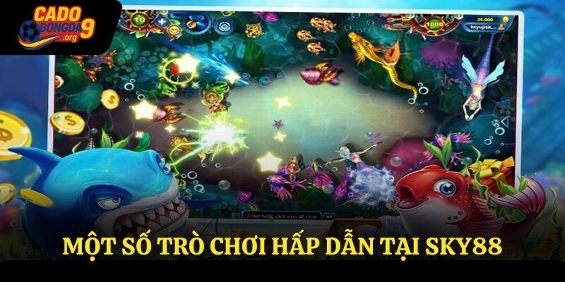 Một số trò chơi hấp dẫn tại Sky88