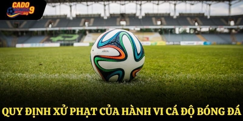 Quy định xử phạt của hành vi cá độ bóng đá