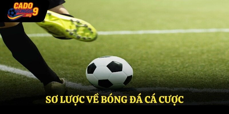 Sơ lược về bóng đá cá cược