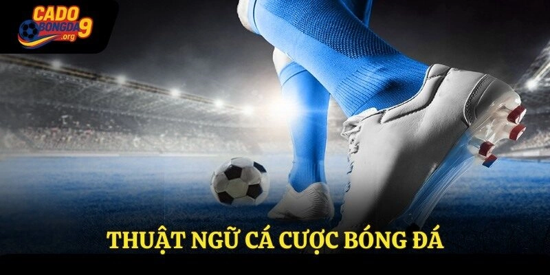 Thuật Ngữ Cá Cược Bóng Đá – Kiến Thức Hữu Ích Cần Nắm