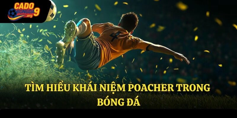 Tìm hiểu khái niệm Poacher trong bóng đá