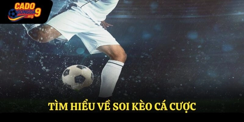 Tìm hiểu về soi kèo cá cược