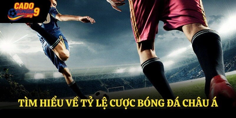 Tìm hiểu về tỷ lệ cá cược bóng đá Châu Á