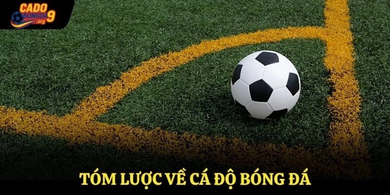 Tóm lược về Cá Độ Bóng Đá