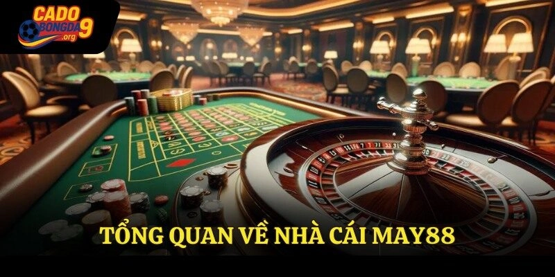 Tổng quan về nhà cái May88