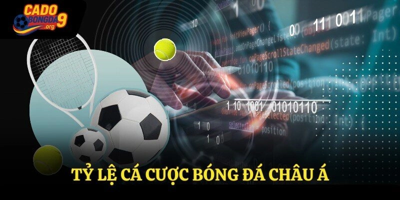 Tỷ Lệ Cá Cược Bóng Đá Châu Á Chuẩn Xác Nhất Cùng Cadobongda