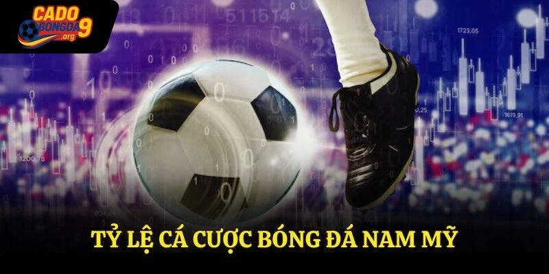 Tỷ Lệ Cá Cược Bóng Đá Nam Mỹ Tốt Nhất Tại Cadobongda