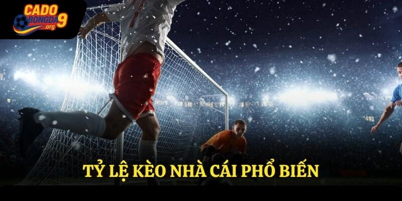 Tỷ lệ kèo nhà cái phổ biến