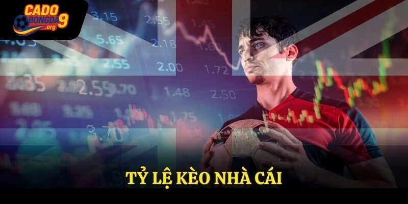 Tỷ Lệ Kèo Nhà Cái – Hướng Dẫn Về Khái Niệm Chi Tiết