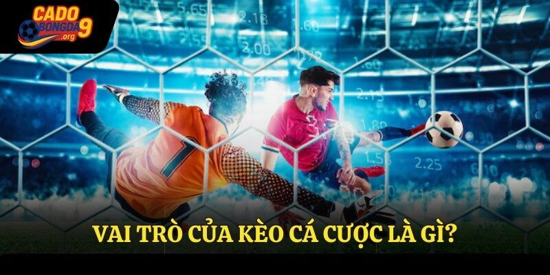Vai trò của kèo cá cược là gì?